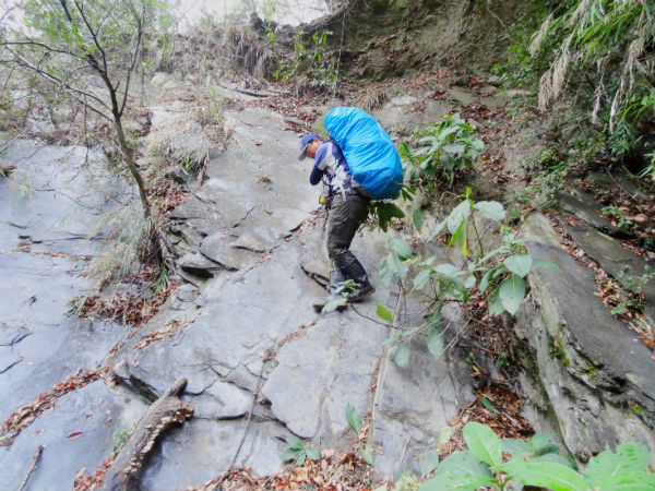 森林綠天使擁抱秀麗山林、溯溪、森呼吸 月領最高近35K-企業特寫