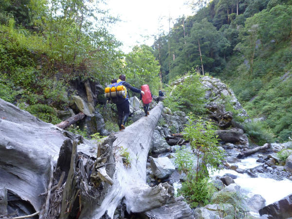 森林綠天使擁抱秀麗山林、溯溪、森呼吸 月領最高近35K-企業特寫