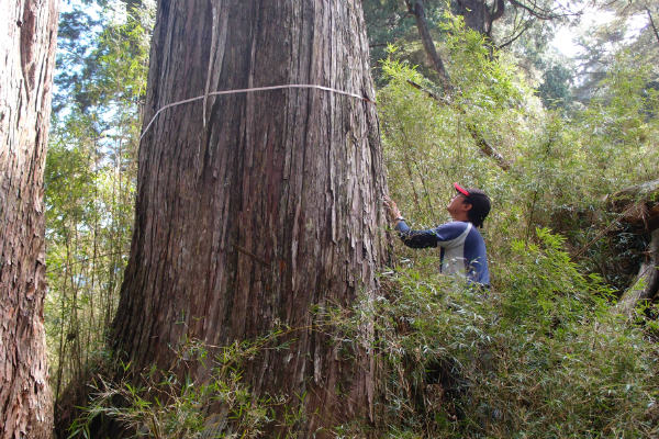 森林綠天使擁抱秀麗山林、溯溪、森呼吸 月領最高近35K-企業特寫