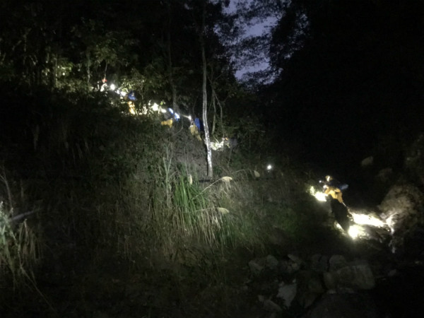 森林綠天使擁抱秀麗山林、溯溪、森呼吸 月領最高近35K-企業特寫