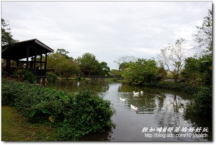 巧克力共和國+八德埤塘生態公園+老陳家夫妻肺片+承恩找碴•找茶禮盒+清合緬甸蝦醬【桃園金牌好店踩線團二日遊2】 巧克力共和國+八德埤塘生態公園+老陳家夫妻肺片+承恩找碴•找茶禮盒+清合緬甸蝦醬【桃園金牌好店踩線團二日遊2】