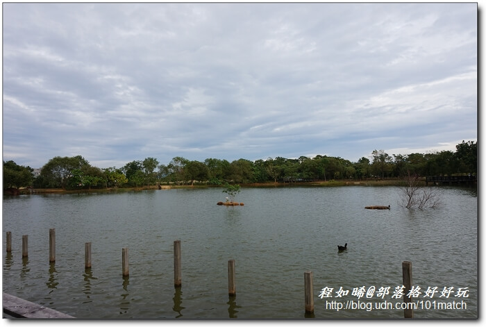巧克力共和國+八德埤塘生態公園+老陳家夫妻肺片+承恩找碴•找茶禮盒+清合緬甸蝦醬【桃園金牌好店踩線團二日遊2】 巧克力共和國+八德埤塘生態公園+老陳家夫妻肺片+承恩找碴•找茶禮盒+清合緬甸蝦醬【桃園金牌好店踩線團二日遊2】