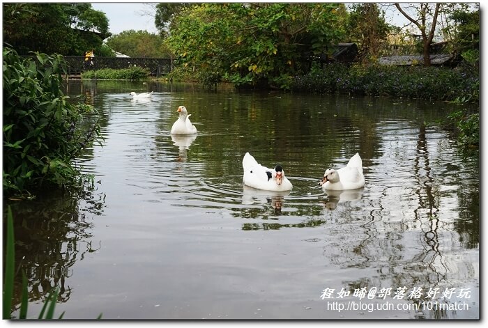 巧克力共和國+八德埤塘生態公園+老陳家夫妻肺片+承恩找碴•找茶禮盒+清合緬甸蝦醬【桃園金牌好店踩線團二日遊2】 巧克力共和國+八德埤塘生態公園+老陳家夫妻肺片+承恩找碴•找茶禮盒+清合緬甸蝦醬【桃園金牌好店踩線團二日遊2】