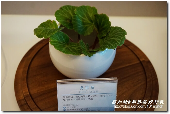 北投老爺酒店一泊二食+SPA【臺北國際醫旅北投健康管理醫院高階健檢假期~健康微旅行】 北投老爺酒店一泊二食+SPA【臺北國際醫旅北投健康管理醫院高階健檢假期~健康微旅行】