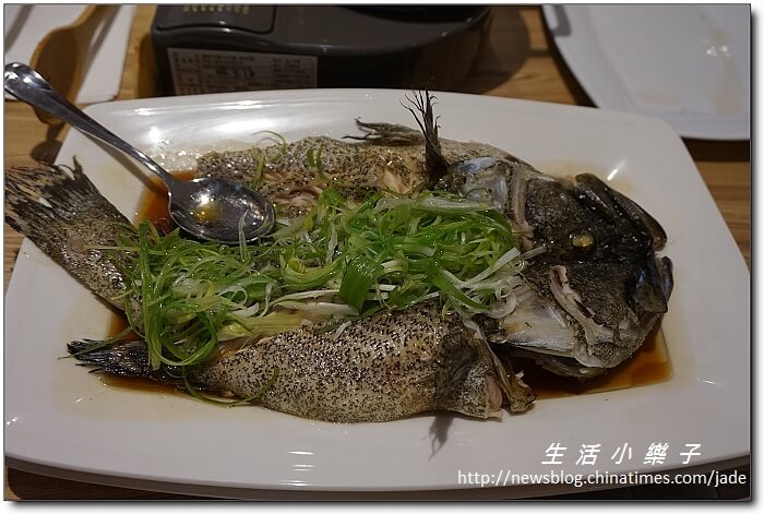 桃園鮮綠市集＋多樣屋【旁邊的JT Cafe因故結束營業】
