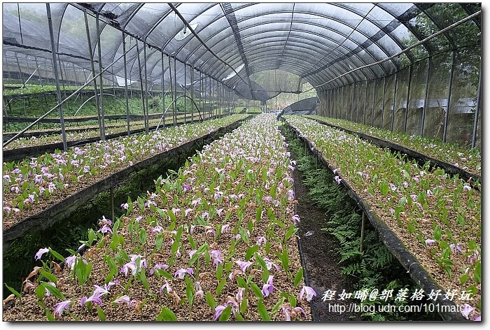 苗栗南庄月球石秘境探訪+農會家政班美食館+必買農特產伴手禮》南江休閒農業區.福菜/桂竹筍DIY農遊趣 苗栗南庄月球石秘境探訪+農會家政班美食館+必買農特產伴手禮》南江休閒農業區.福菜/桂竹筍DIY農遊趣