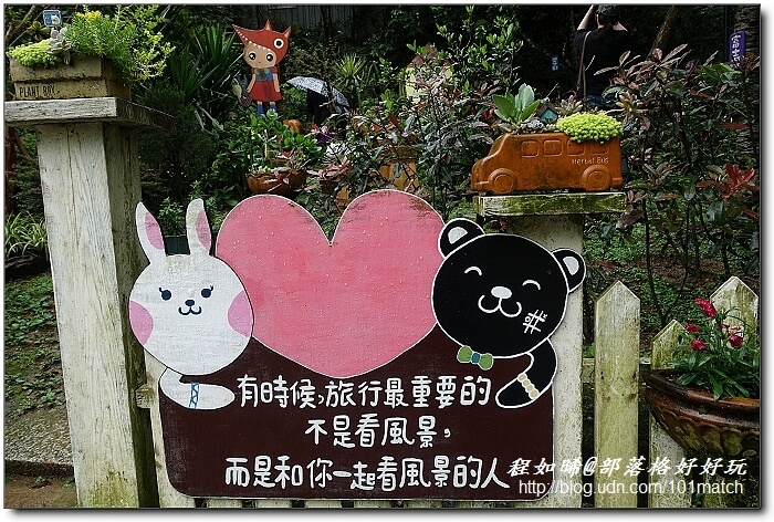 一見傾心的橄欖樹咖啡民宿》苗栗南庄南江休閒農業區住宿及下午茶推薦，女孩兒一定會尖叫的鄉村雜貨風偶像劇拍攝地