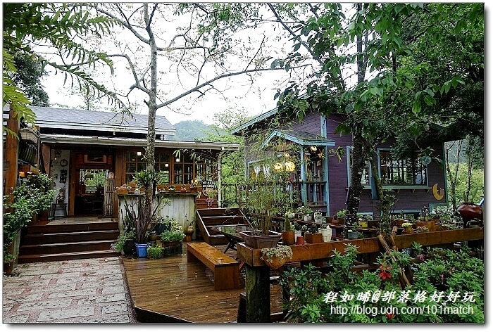 一見傾心的橄欖樹咖啡民宿》苗栗南庄南江休閒農業區住宿及下午茶推薦，女孩兒一定會尖叫的鄉村雜貨風偶像劇拍攝地