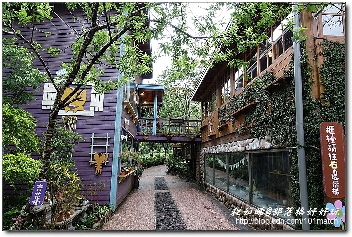 一見傾心的橄欖樹咖啡民宿》苗栗南庄南江休閒農業區住宿及下午茶推薦，女孩兒一定會尖叫的鄉村雜貨風偶像劇拍攝地