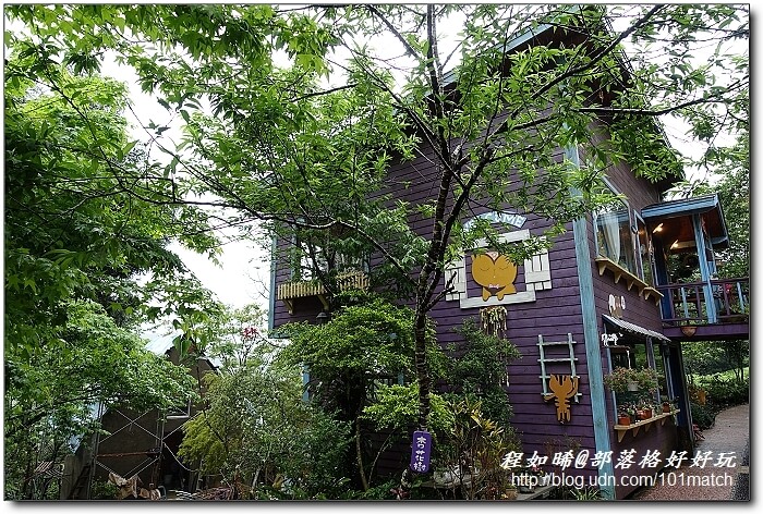 一見傾心的橄欖樹咖啡民宿》苗栗南庄南江休閒農業區住宿及下午茶推薦，女孩兒一定會尖叫的鄉村雜貨風偶像劇拍攝地