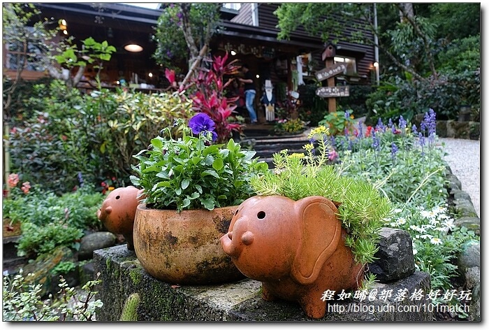 一見傾心的橄欖樹咖啡民宿》苗栗南庄南江休閒農業區住宿及下午茶推薦，女孩兒一定會尖叫的鄉村雜貨風偶像劇拍攝地