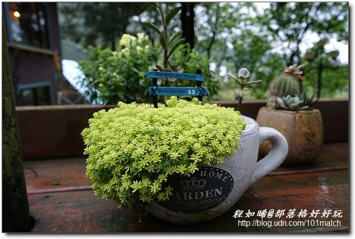 一見傾心的橄欖樹咖啡民宿》苗栗南庄南江休閒農業區住宿及下午茶推薦，女孩兒一定會尖叫的鄉村雜貨風偶像劇拍攝地