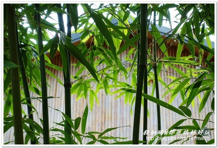 武岫竹炭窯文化園區親子旅遊》超值美味的竹炭竹筍火鍋大餐+竹炭咖啡+竹炭冰淇淋鬆餅下午茶 有「CAS標章林產品」驗證 武岫竹炭窯文化園區親子旅遊》超值美味的竹炭竹筍火鍋大餐+竹炭咖啡+竹炭冰淇淋鬆餅下午茶 有「CAS標章林產品」驗證