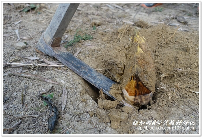 武岫竹炭窯文化園區親子旅遊》超值美味的竹炭竹筍火鍋大餐+竹炭咖啡+竹炭冰淇淋鬆餅下午茶 有「CAS標章林產品」驗證 武岫竹炭窯文化園區親子旅遊》超值美味的竹炭竹筍火鍋大餐+竹炭咖啡+竹炭冰淇淋鬆餅下午茶 有「CAS標章林產品」驗證