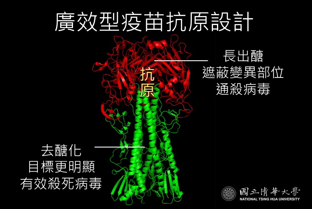 感冒疫苗不用猜啦～-生命科學院