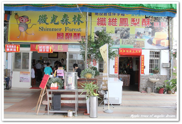 【遊記-南投市】鳳梨酥傳奇.微熱山丘&微光森林-南投 【遊記-南投市】鳳梨酥傳奇.微熱山丘&微光森林-南投