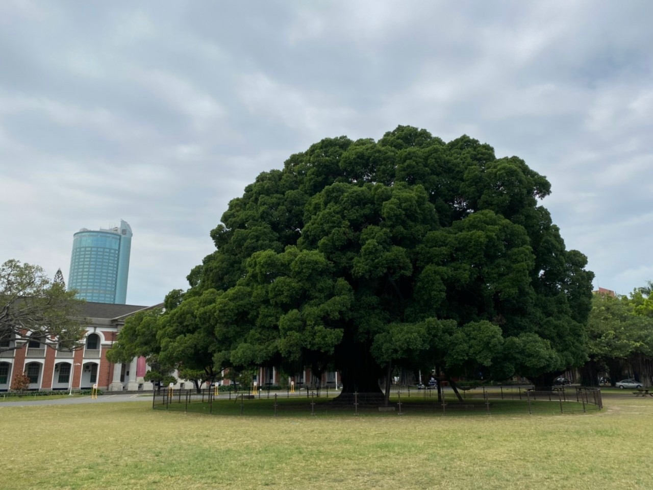 成大臨醫所 面試需準備的書面資料?-口試資審