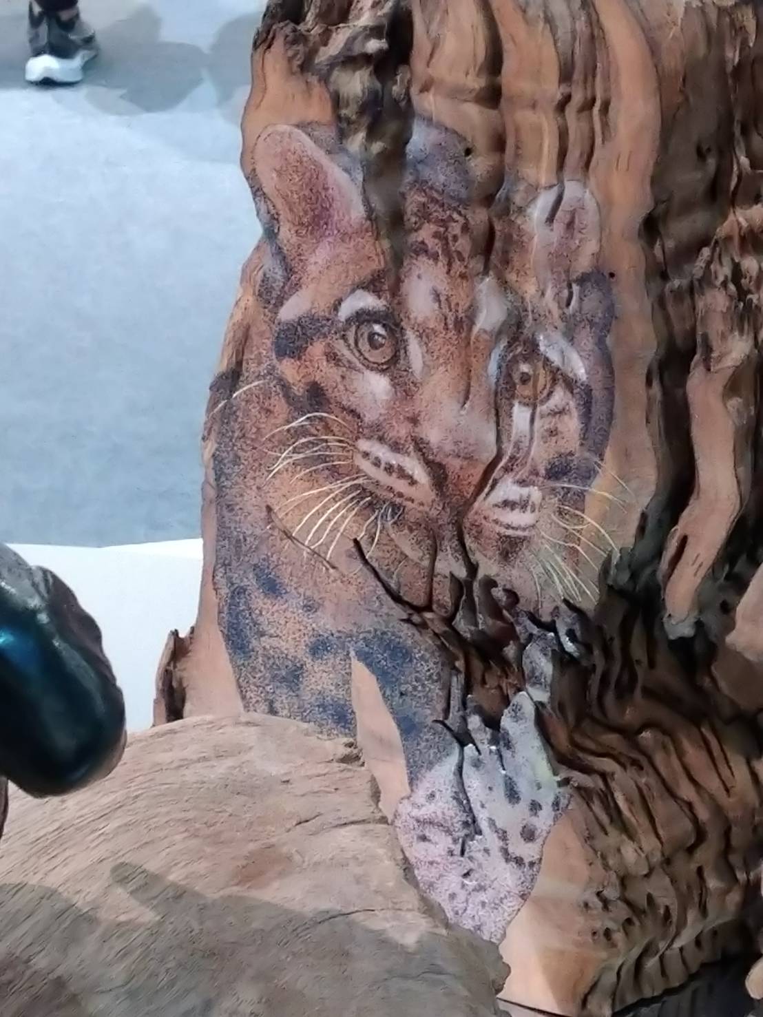 通識課大家喜歡考試還是交報告？-有問必答