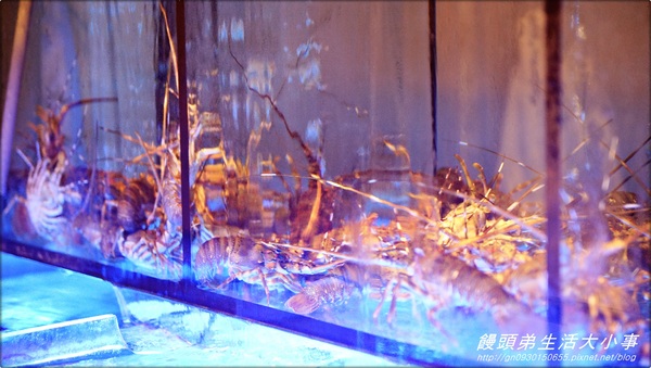 【食記/新北市】美味私房道地推薦♪♪皇鼎潮汕砂鍋粥♪♪