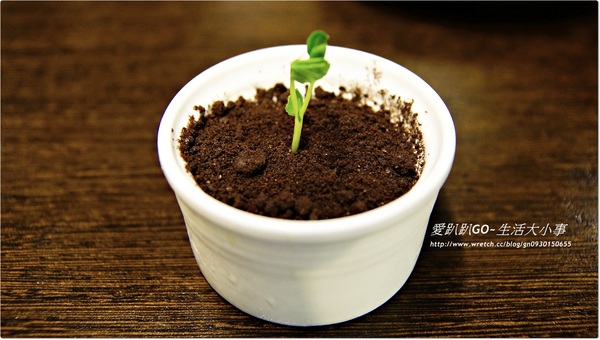 【食記/台北市】正宗四川麻辣~九寨十鍋