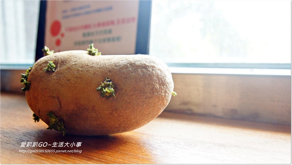 【食記/台北市】結合健康、環保、綠化的蔬果工廠~舞蔬弄果 【食記/台北市】結合健康、環保、綠化的蔬果工廠~舞蔬弄果