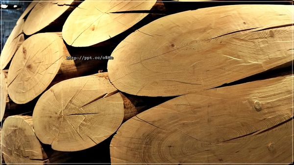 【彩日本料理】君悅飯店/螃蟹/扇貝/壽司/甜點/生魚片,約30幾種餐點隨意吃到飽  【彩日本料理】君悅飯店/螃蟹/扇貝/壽司/甜點/生魚片,約30幾種餐點隨意吃到飽