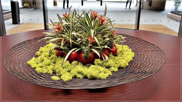 【彩日本料理】君悅飯店/螃蟹/扇貝/壽司/甜點/生魚片,約30幾種餐點隨意吃到飽  【彩日本料理】君悅飯店/螃蟹/扇貝/壽司/甜點/生魚片,約30幾種餐點隨意吃到飽