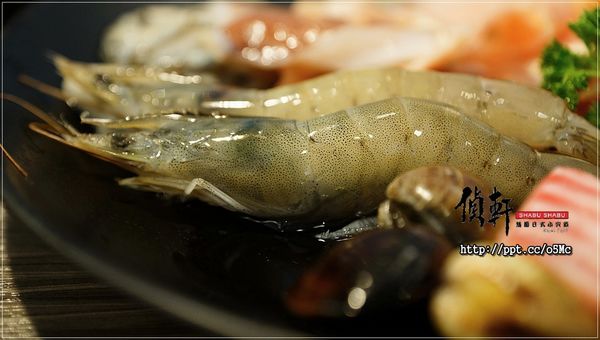 【偵軒精緻火鍋】萬隆火鍋～連食尚玩家浩子跟阿松，最常光顧的店，人氣款必點海陸組合鍋