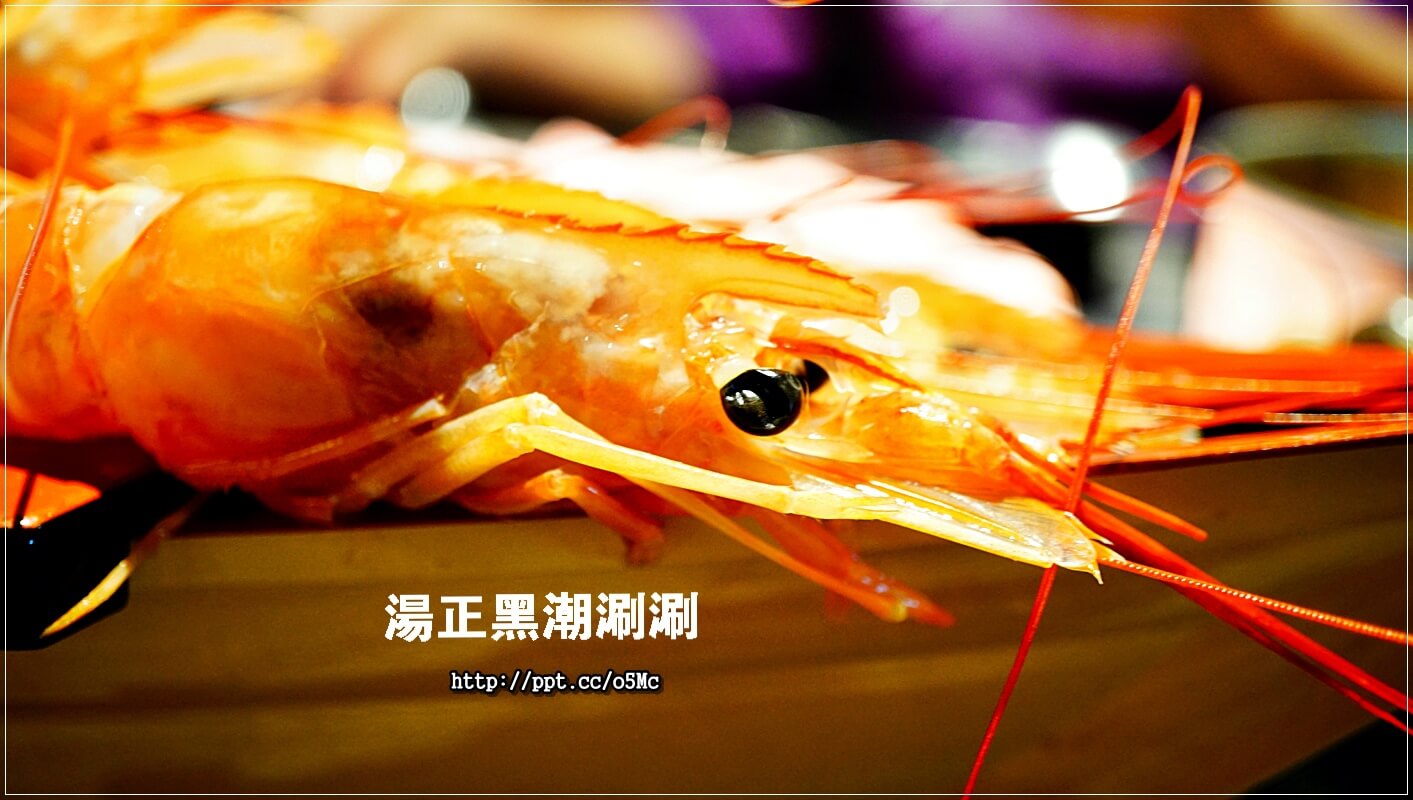 【湯正黑潮涮涮】新莊火鍋~CP值超高,澳洲和牛肉質超鮮嫩,一口吃在嘴裡,滿滿的鮮甜滋味,天使紅蝦超大隻,蝦膏滿滿,一吃成老主顧 【湯正黑潮涮涮】新莊火鍋~CP值超高,澳洲和牛肉質超鮮嫩,一口吃在嘴裡,滿滿的鮮甜滋味,天使紅蝦超大隻,蝦膏滿滿,一吃成老主顧