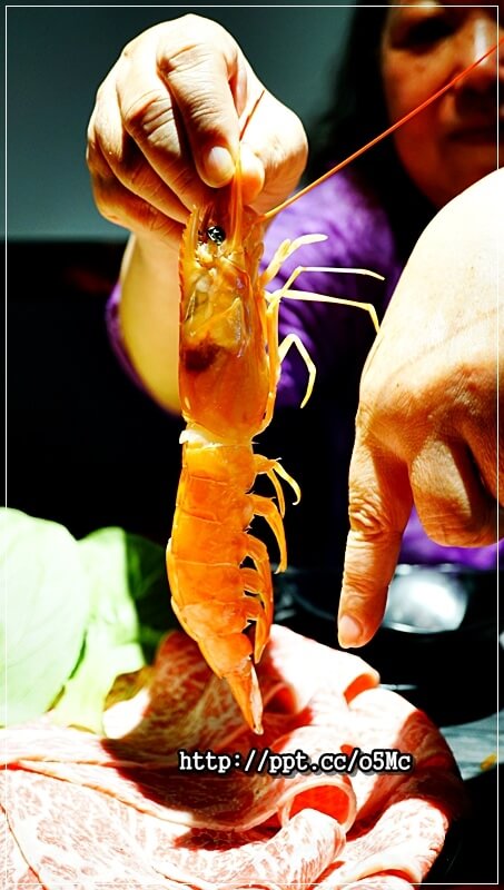 【湯正黑潮涮涮】新莊火鍋~CP值超高,澳洲和牛肉質超鮮嫩,一口吃在嘴裡,滿滿的鮮甜滋味,天使紅蝦超大隻,蝦膏滿滿,一吃成老主顧 【湯正黑潮涮涮】新莊火鍋~CP值超高,澳洲和牛肉質超鮮嫩,一口吃在嘴裡,滿滿的鮮甜滋味,天使紅蝦超大隻,蝦膏滿滿,一吃成老主顧