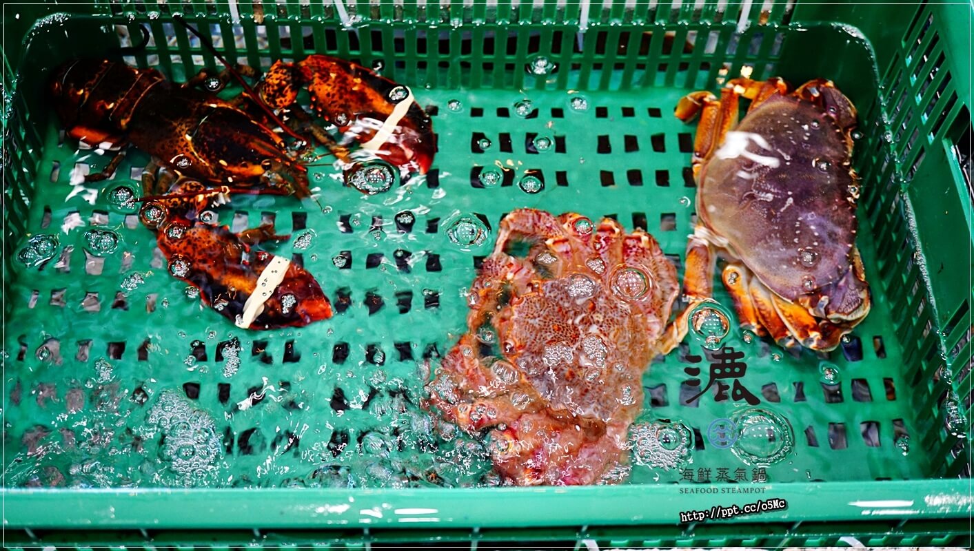 【漉 海鮮蒸氣鍋 (松江店)】松江南京捷運站~最夯的蒸氣鍋物,吃出食材的原味,少了油煙,多了一分健康,CP值高,環境優美,適合聚餐的好場所 【漉 海鮮蒸氣鍋 (松江店)】松江南京捷運站~最夯的蒸氣鍋物,吃出食材的原味,少了油煙,多了一分健康,CP值高,環境優美,適合聚餐的好場所