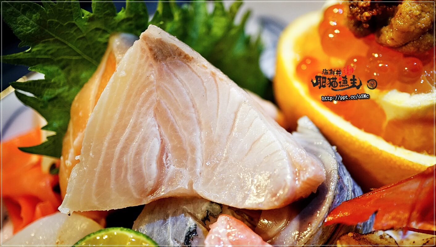 【肥貓漁夫】台北日本料理～中山國小捷運站，ＣＰ值高，採用當天現撈漁貨，食材品質有保證，強力推薦惡魔果實海鮮丼／散壽司／茶碗蒸／柚金釀沙瓦