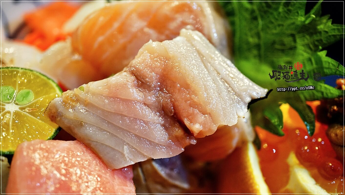 【肥貓漁夫】台北日本料理～中山國小捷運站，ＣＰ值高，採用當天現撈漁貨，食材品質有保證，強力推薦惡魔果實海鮮丼／散壽司／茶碗蒸／柚金釀沙瓦