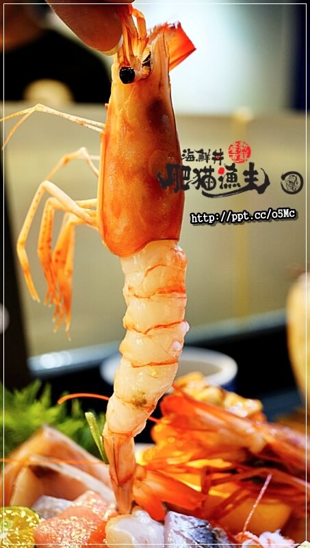 【肥貓漁夫】台北日本料理～中山國小捷運站，ＣＰ值高，採用當天現撈漁貨，食材品質有保證，強力推薦惡魔果實海鮮丼／散壽司／茶碗蒸／柚金釀沙瓦