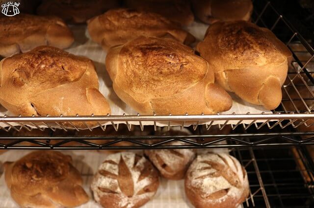 【台南中西區】五吉堂麵包店-巷弄飄香 排隊超夯麵包．吐司