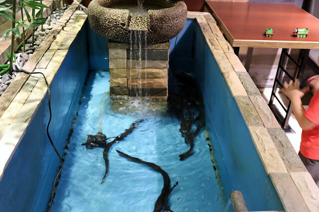 【台北美食】御成町浪漫鰻屋(南港店)-『南港站』日式鰻魚飯專賣店 【台北美食】御成町浪漫鰻屋(南港店)-『南港站』日式鰻魚飯專賣店