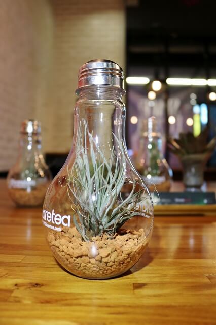 【台北美食】Sharetea 品牌旗艦店-歇腳亭24周年慶 燈泡茶飲．盆栽DIY