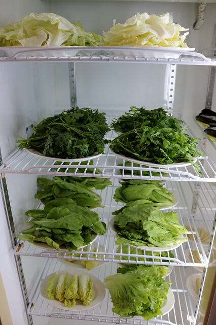 【台南美食】牛墟溫體牛肉火鍋店-溫體牛好吃不稀奇,溫體豬竟超美味! 【台南美食】牛墟溫體牛肉火鍋店-溫體牛好吃不稀奇,溫體豬竟超美味!
