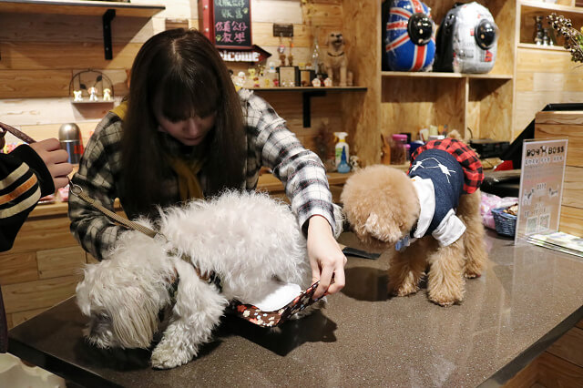 【台北美食】Dog Boss 寵物友善餐廳-『景安站』帶著毛小孩一起早午餐．寵物美容SPA牛奶浴．自製肉乾鮮食