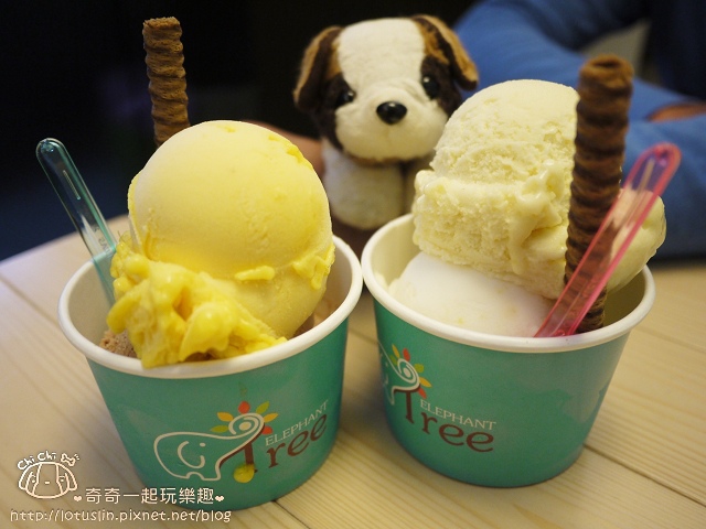 【試-分享】台南 小象樹義式冰淇淋 低脂冰淇淋．鬆餅．吐司．飲品