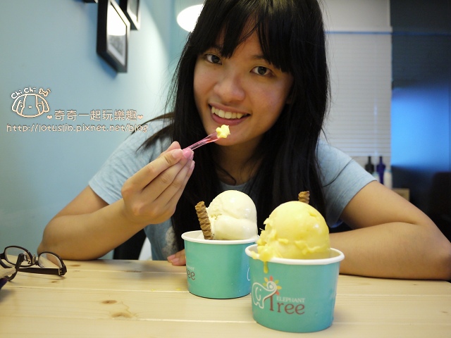 【試-分享】台南 小象樹義式冰淇淋 低脂冰淇淋．鬆餅．吐司．飲品