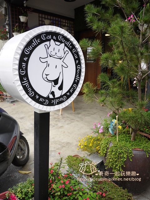 嘉義 Cat & Giraffe 貓與長頸鹿 起司蛋糕/餅乾/鬆餅 貓奴私房下午茶-Cat & Giraffe