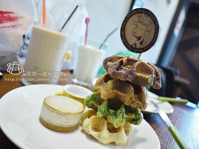 嘉義 Cat & Giraffe 貓與長頸鹿 起司蛋糕/餅乾/鬆餅 貓奴私房下午茶-Cat & Giraffe