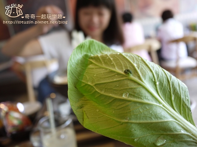 台南 長鼻子泰式咖哩 成大商圈泰國料理推薦 咖哩飯X咖哩火鍋-長鼻子泰式咖哩