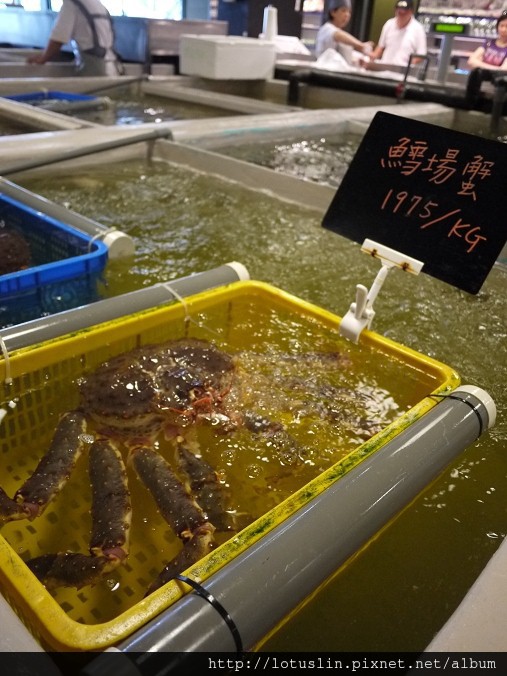 會上癮的上引水產-上引水產