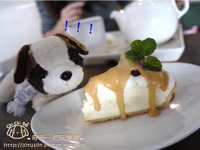 嘉義 Daisy的雜貨店 令人驚艷的鹹味焦糖乳酪派-Daisy的雜貨店 嘉義 Daisy的雜貨店 令人驚艷的鹹味焦糖乳酪派-Daisy的雜貨店
