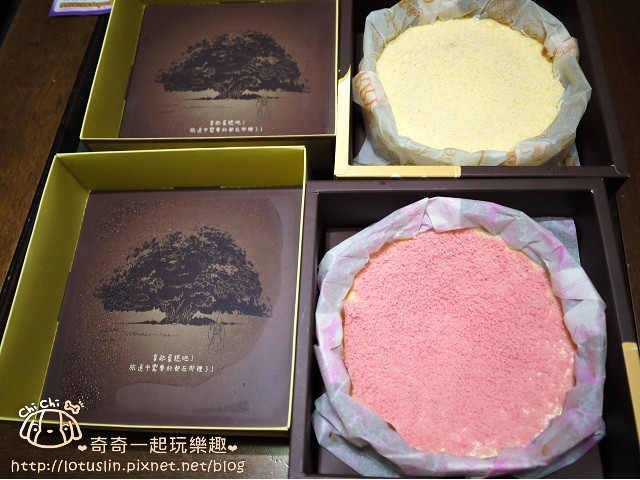【試-分享】【宅配美食】諾亞半熟蛋糕專賣店 噗茲噗茲的融心乳酪呀~-諾亞半熟蛋糕