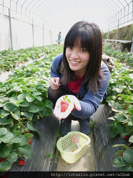 精華濃縮版之 曉確幸+莓圃休閒農場+春川達卡比-春川達卡比 精華濃縮版之 曉確幸+莓圃休閒農場+春川達卡比-春川達卡比