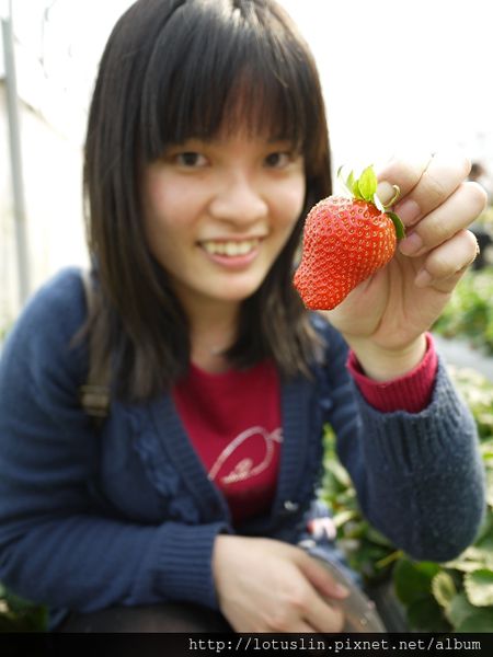 精華濃縮版之 曉確幸+莓圃休閒農場+春川達卡比-春川達卡比 精華濃縮版之 曉確幸+莓圃休閒農場+春川達卡比-春川達卡比