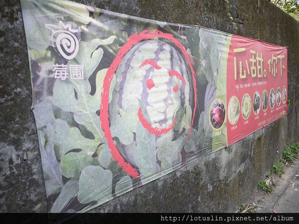 精華濃縮版之 曉確幸+莓圃休閒農場+春川達卡比-春川達卡比 精華濃縮版之 曉確幸+莓圃休閒農場+春川達卡比-春川達卡比